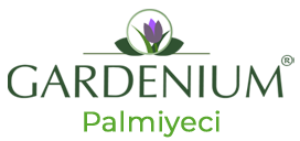 Gardenium - Palmiyeci