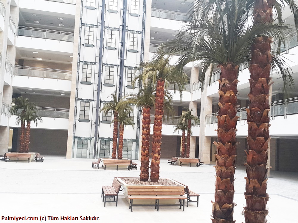 Adana District Court Palm Work