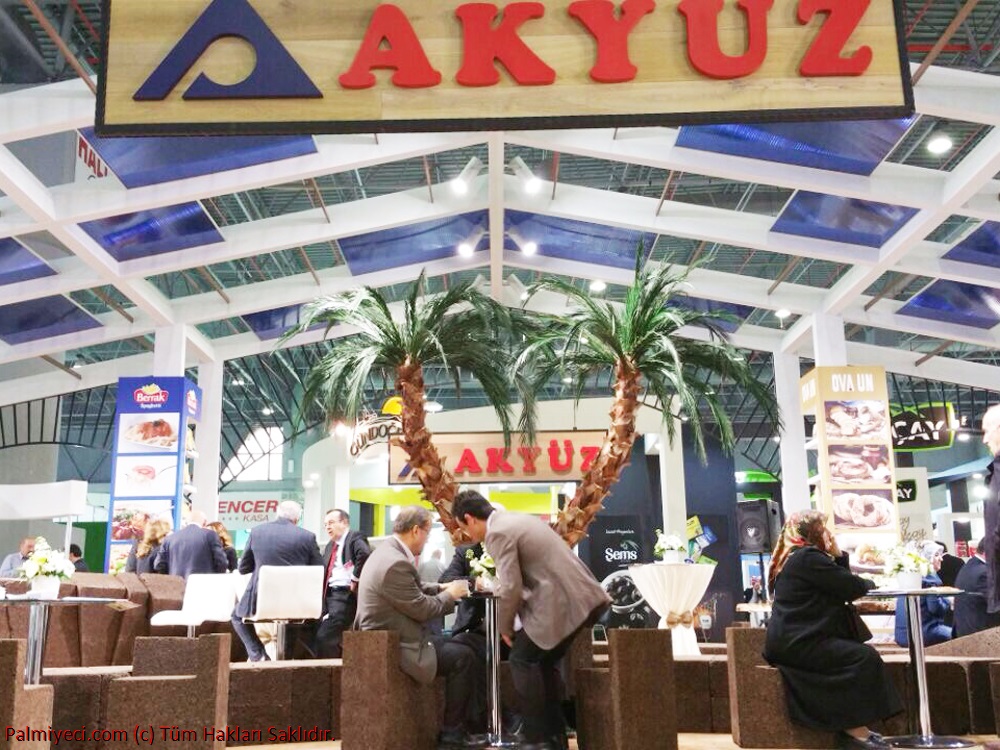 Akyüz Gıda - EDT Expo Fuar Kiralık Eğri Palmiye Çalışması