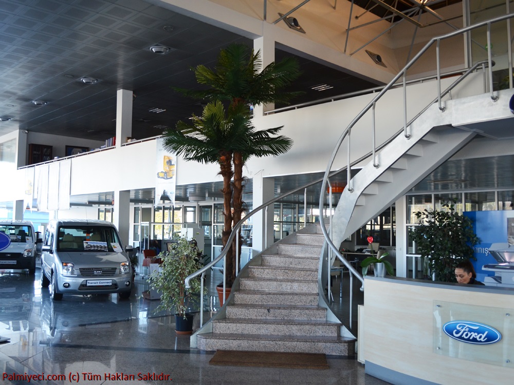 Ford Aydoğanlar Showroom - İç Mekan palmiye
