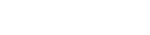 Logo Baz istasyonu Palmiye kaplama çalışması