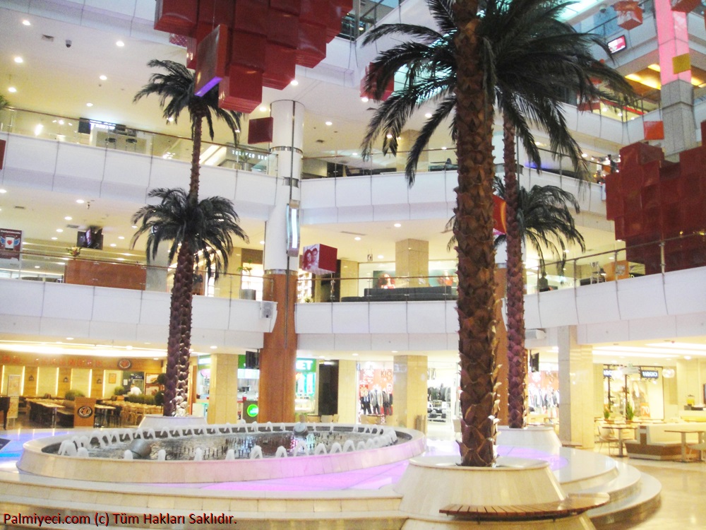 Capitol Shopping Center - Courtyard Palm Trees