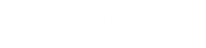 Logo Capitol Avm - Avlu Palmiye Çalışması