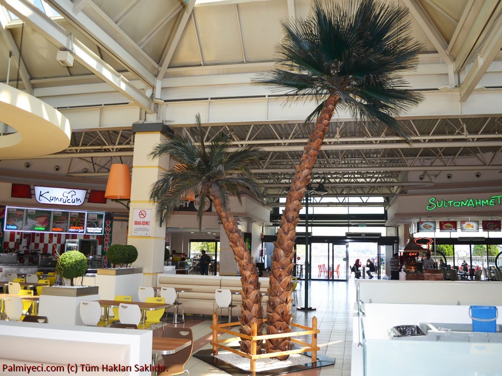 Carrefour SA Bayrampaşa - interior palm work