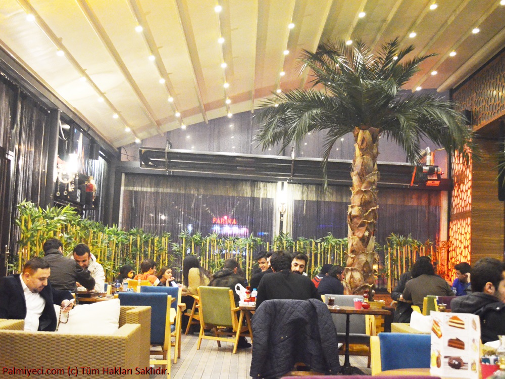 Deyda Cafe - Interior of shocked leafy palm work