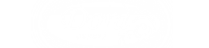 Logo Dora Peyzaj - Plastik Yapraklı Palmiye çalışması