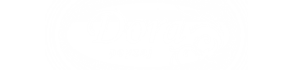Logo Dora Peyzaj - Plastic Leafy Palm work