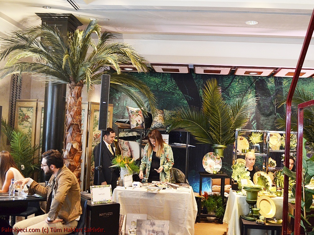 Moeva - Palm Event - Wedding and Decoration - Interior Palm