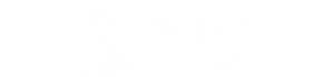 Logo Erikli Hotel - Kumsal Palmiye Çalışması