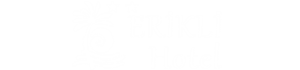 Logo Erikli Hotel - Beach Palm Work