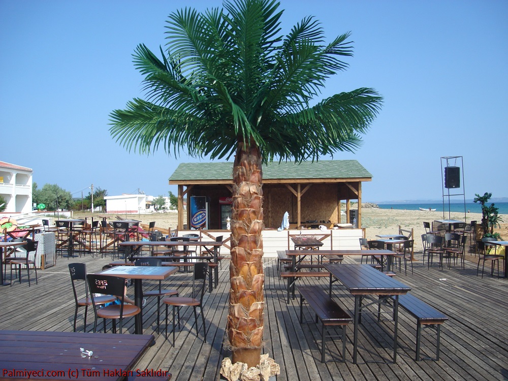 Erikli Hotel - Beach Palm Work