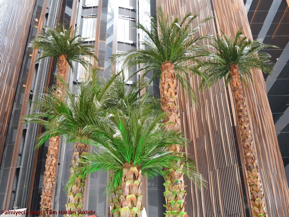 Palm Group