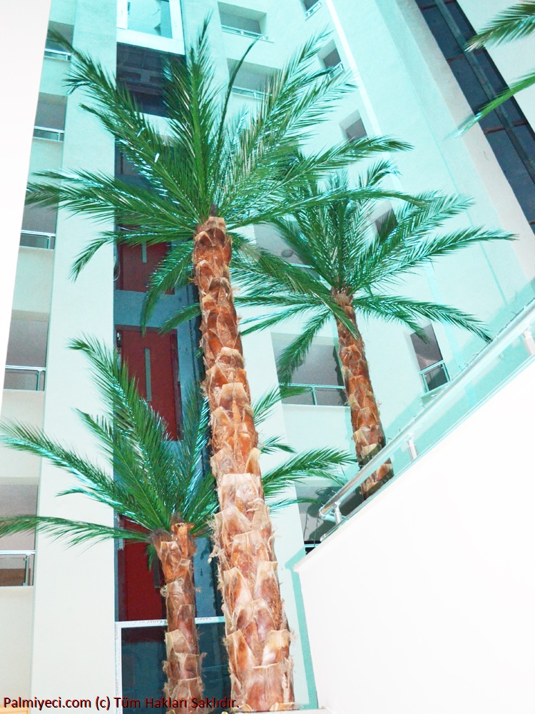 High Palms
