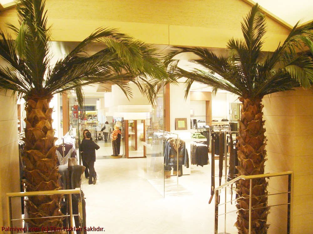 Home Store - Interior Palm Work