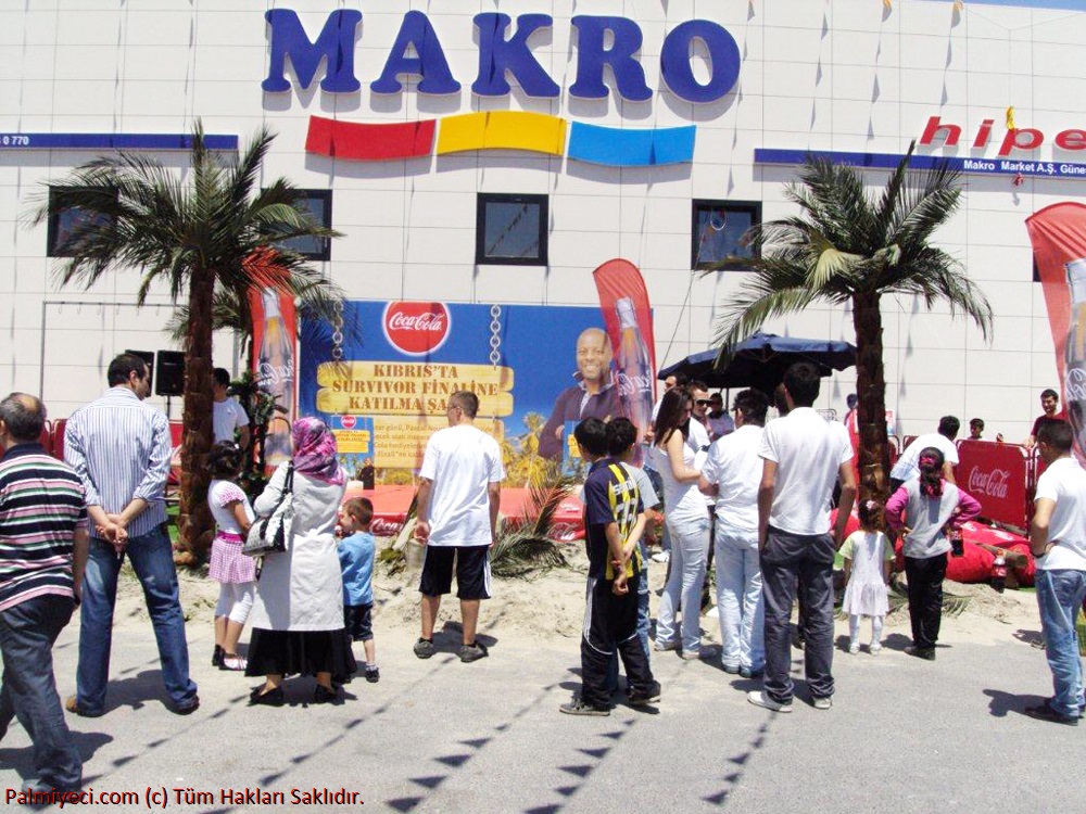 Makro Market - Palm rental for event