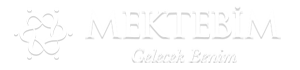 Logo Mektebim Okulları - İç mekan palmiye çalışması