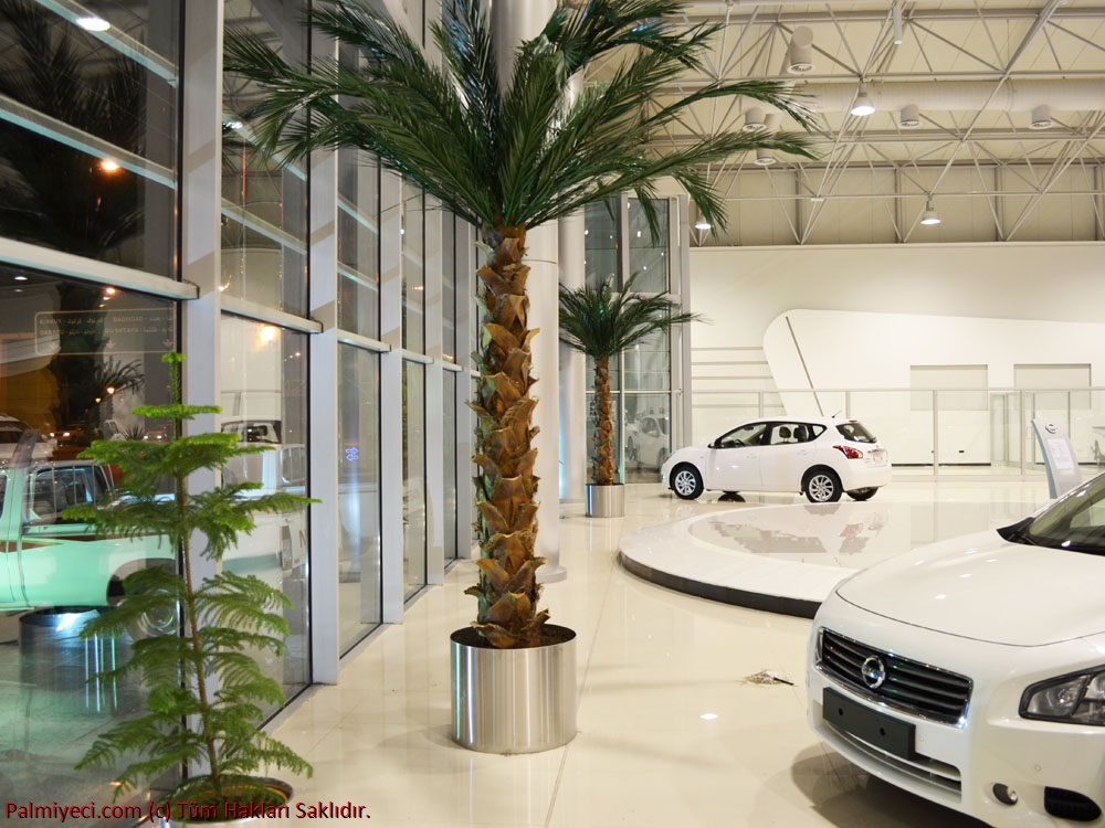 Nissan Automotive Erbil Showroom