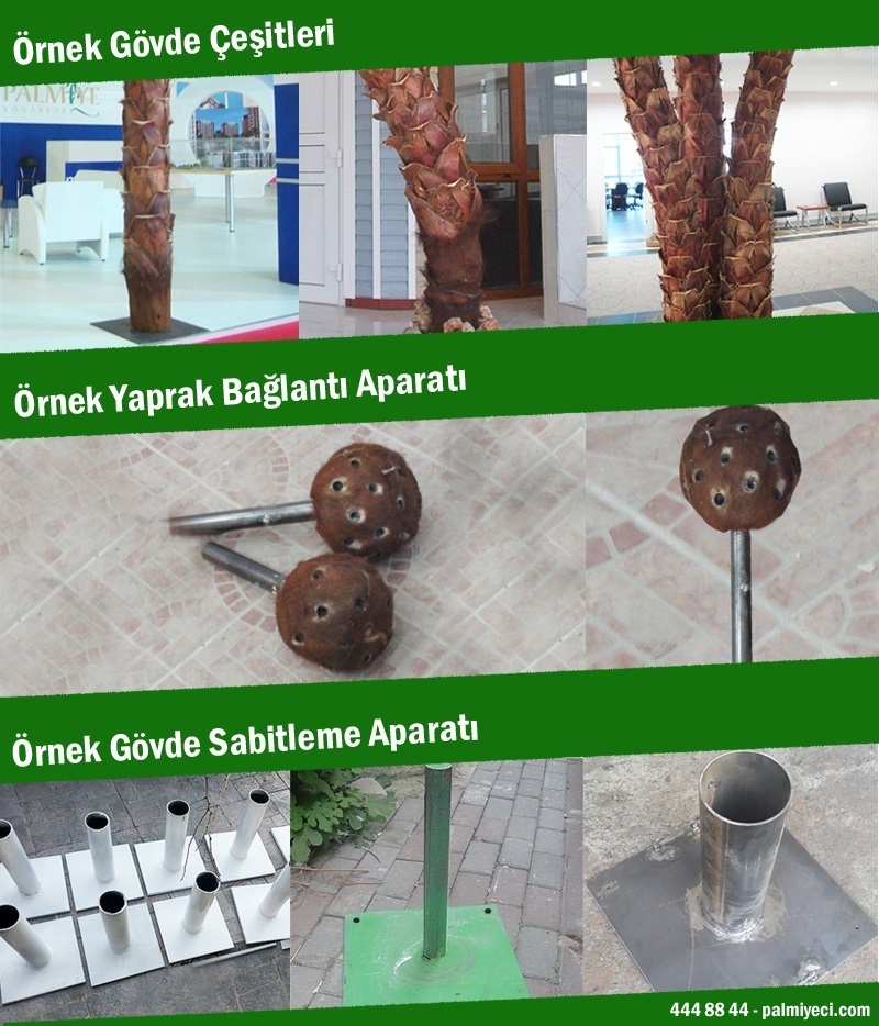 palmiye bağlantı elemanları