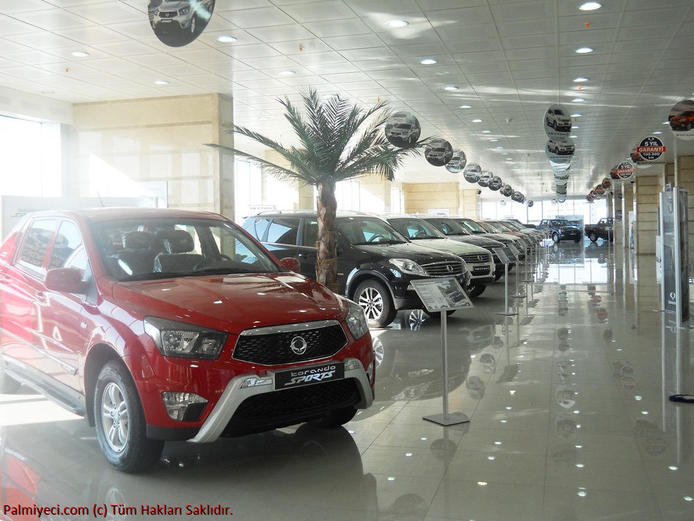 Ssangyong Showroom - Palmiye iç mekan dekorasyon