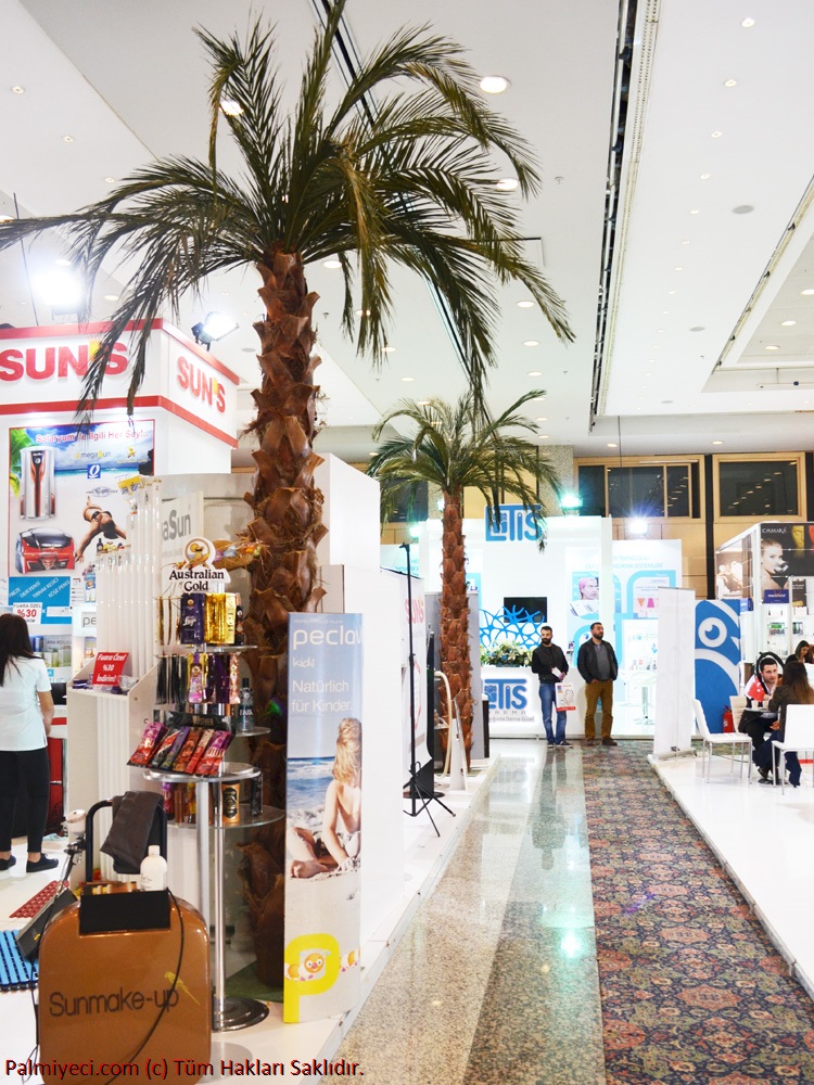Corner Palm