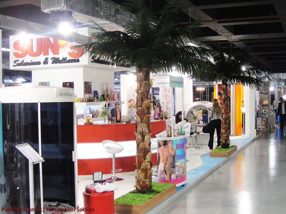 Corner Palm